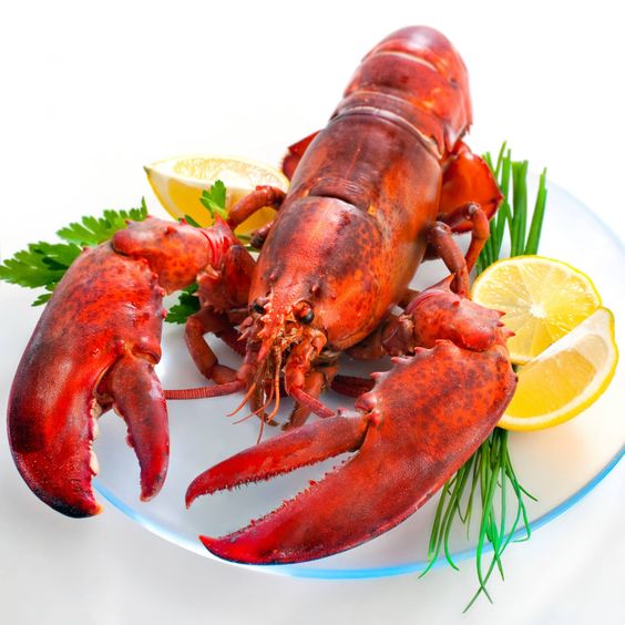 Udang Selingkuh, Spesies Lobster Air Tawar